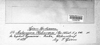 Image Associated With the Occurence